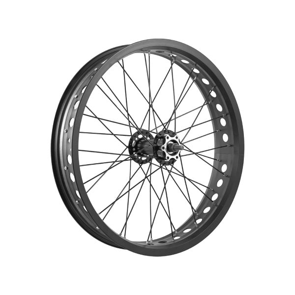 RUOTA EASY ANTERIORE FAT BIKE 20X4