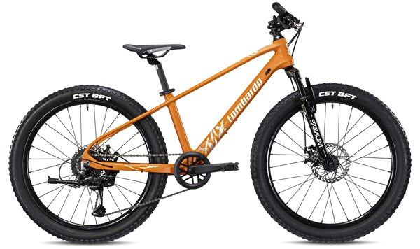 BICICLETTA LOMBARDO VESUVIO 24