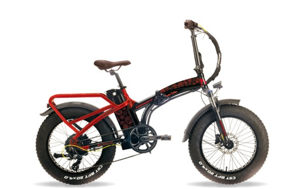 BICI ELETTRICA ARMONY ASSO