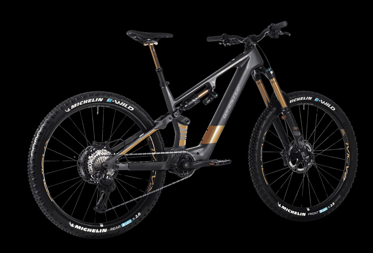BICI ELETTRICA FULL WHISTLE 29 AXR C6.6