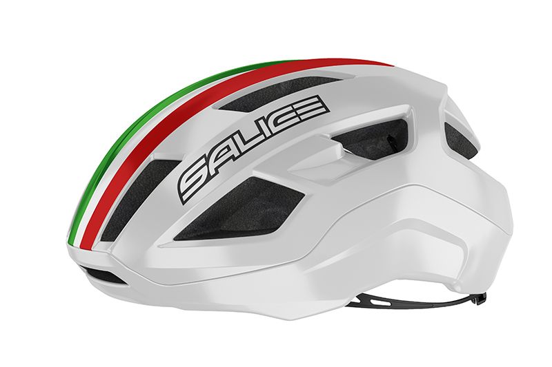 CASCO SALICE VENTO